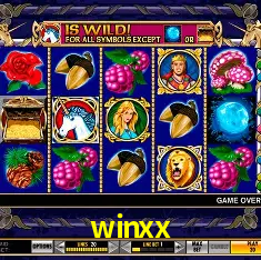 winxx Salvador - Bonus Stats